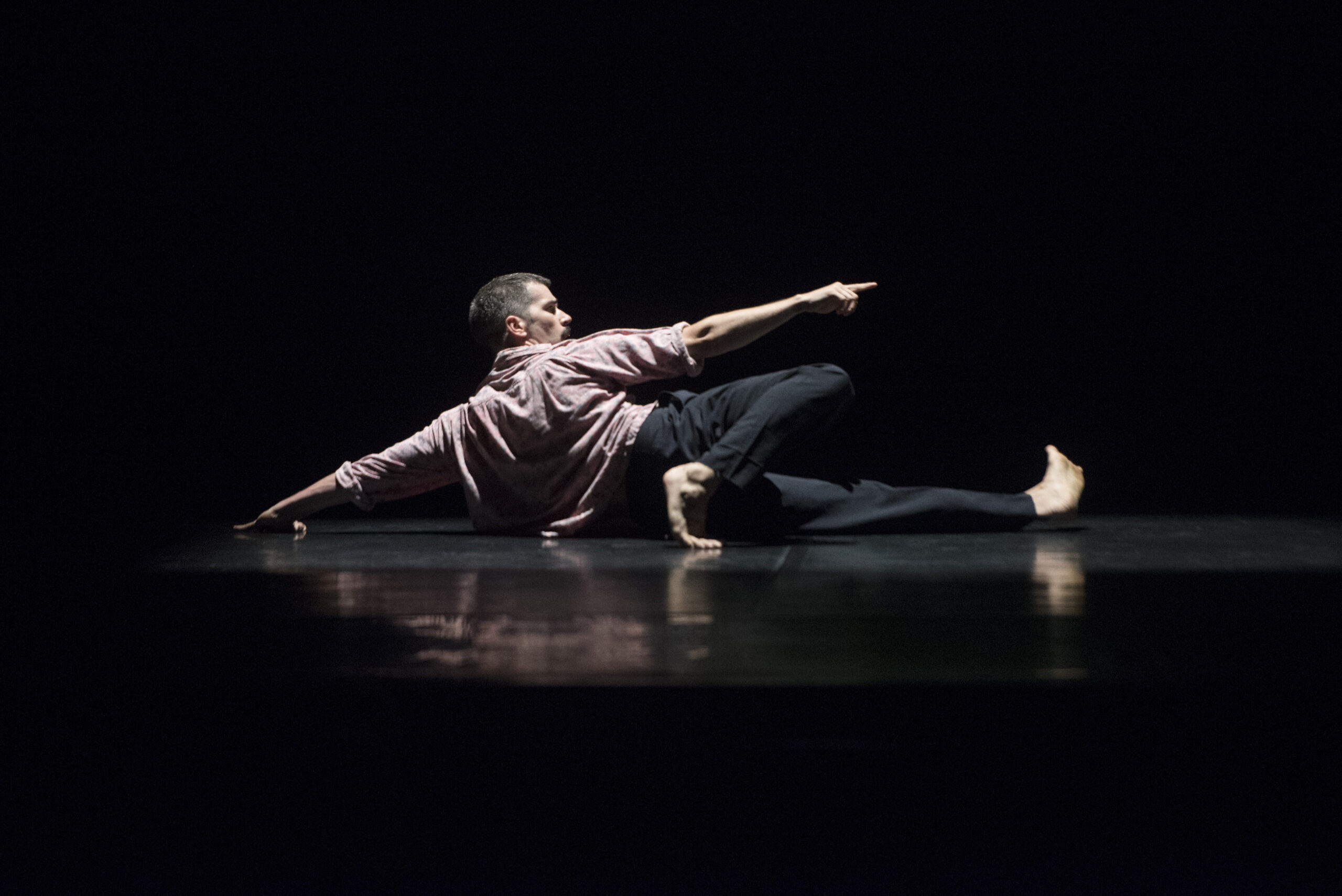 78i... Gala d'Estrelles de la Dansa - Fundació Rubió
